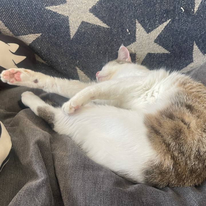 Da44937e 9aa6 4425 a407 14d152d01b28 1633230058435