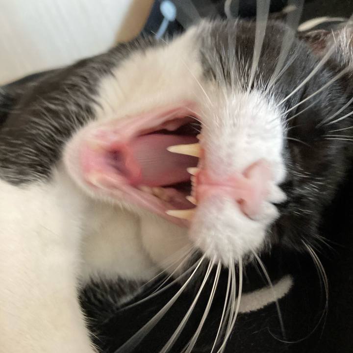 Da44d76a 91f5 462a 8fa8 ee8de32a64ff 1616402605334