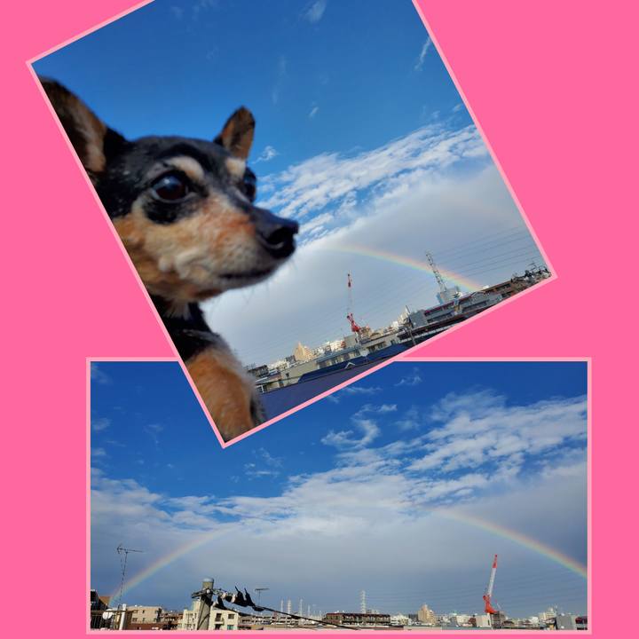 Da44f701 d5f1 45ea 95a7 ef725b84d346 1670915999486