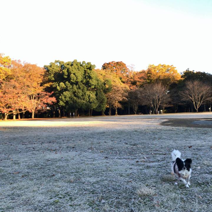 Da454606 0c7a 4b22 ac18 de669b9386e5 1511565751350