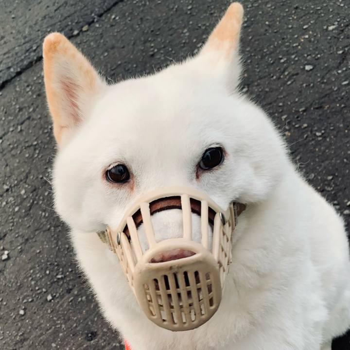 Da45a3de 9fee 4a44 a7dd cc93cf9fd26c 1601932781206