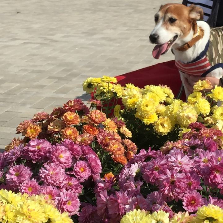 Da45aad0 bed8 40c0 9eba 845c3f9ee152 1510233373491