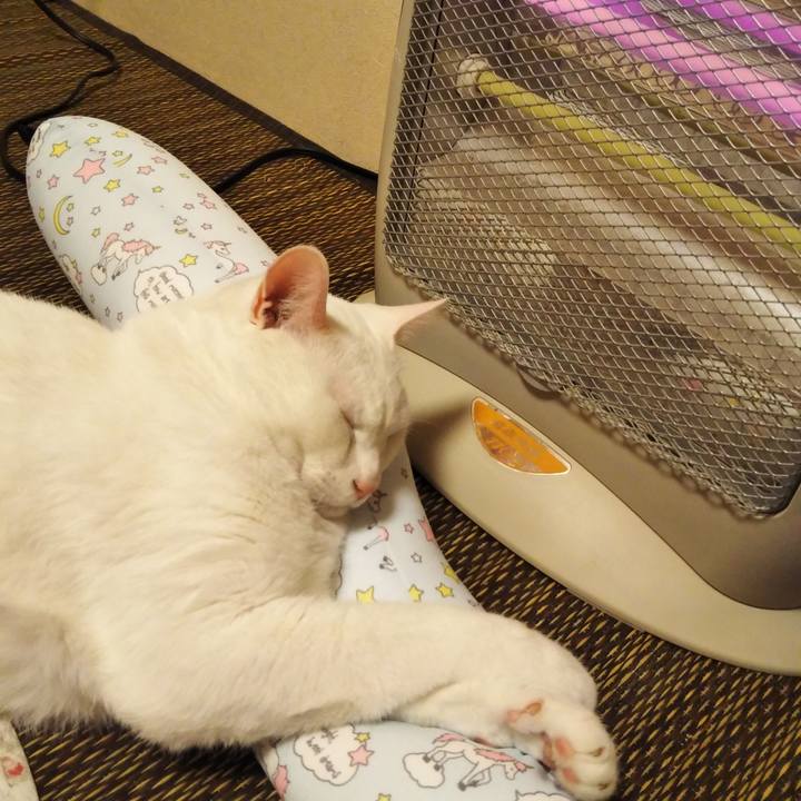 Da45b82d c33f 49c8 a94b 5964da4591fb 1586696253193