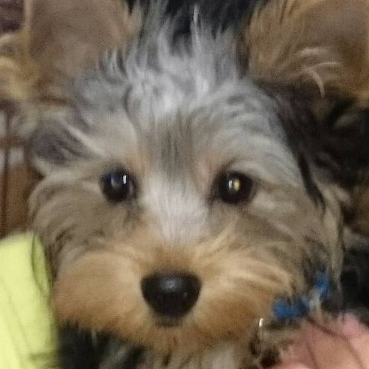 Da45de24 3ef3 4e2b 8831 ac8d502d425e 1535153117334