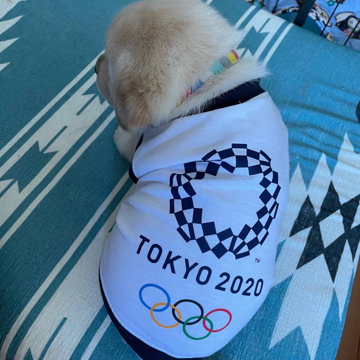 Da45e524 c139 4bed a6e8 497aeef065dd 1627465533859