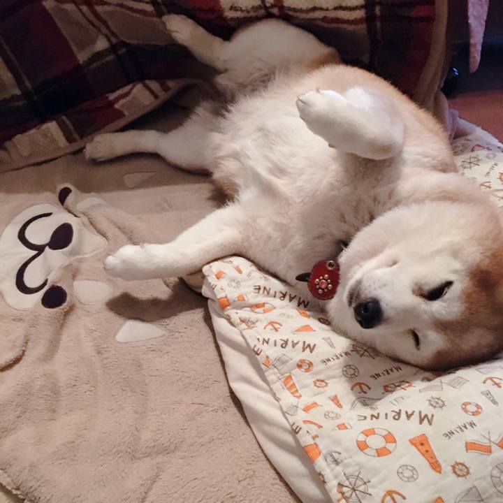 Da4628de 06ee 478a 9356 9b888ce592eb 1613460537978