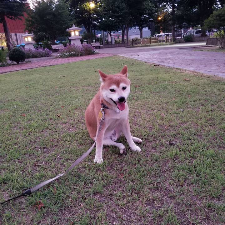 Da462b37 a202 47cb bdf3 e7d5af537796 1565344491497