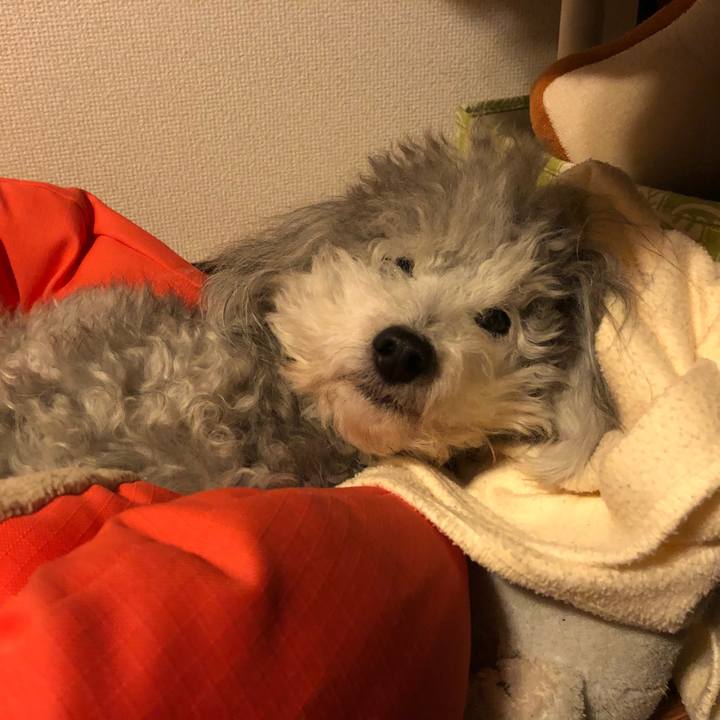 Da463ac6 555d 47c5 80ed 36ee1bddbfd7 1521995019320