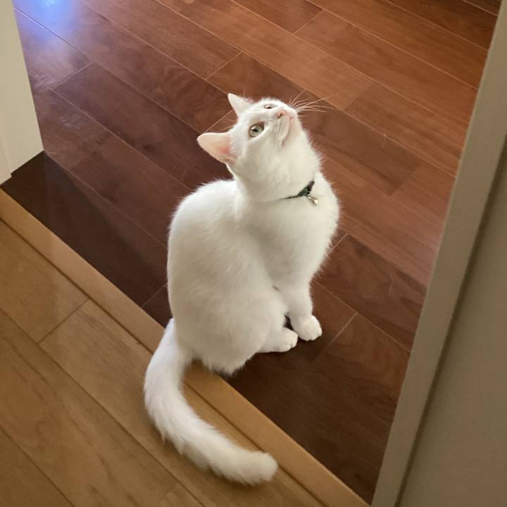 Da466829 eb6c 4acd afb4 e53dc273ff25 1658785556031