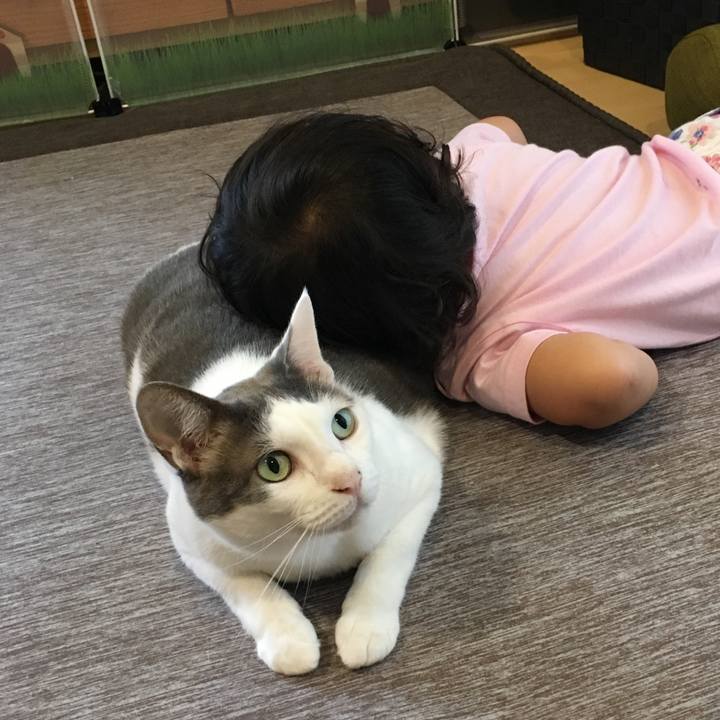 Da46ceae d379 4ba0 9569 f2a97e8b22b0 1563676095368