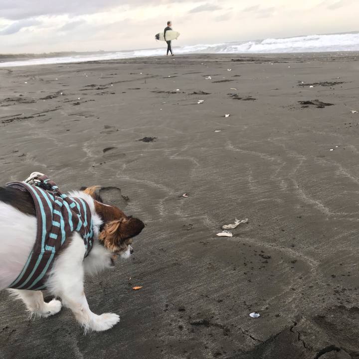 Da46d2cc acfe 4dec a847 d684d732ff50 1540677951443