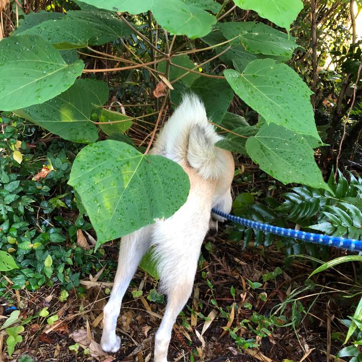 Da46e028 2f38 4007 b037 db8eb48fbc7e 1535721295794