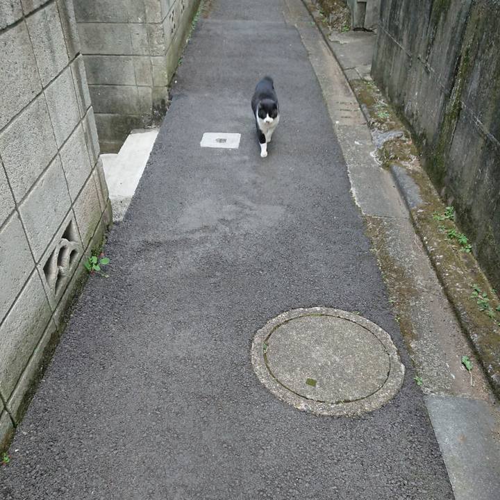 Da46e684 9418 4734 bf5b 59ab45b8f05d 1676931123326