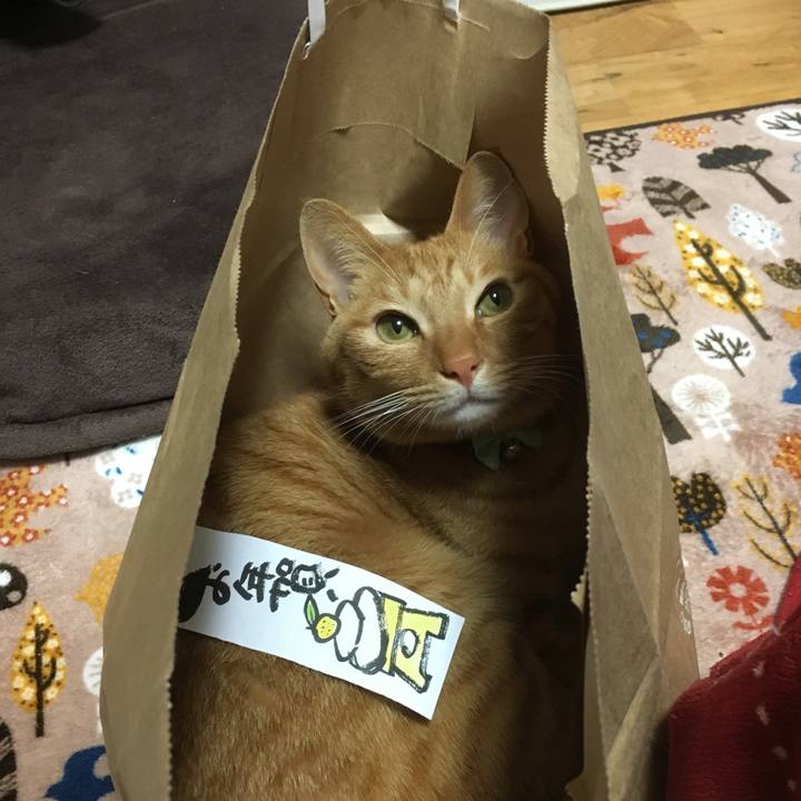 Da46feb9 8506 4902 898c 7e1e9f094a3e 1514899161371