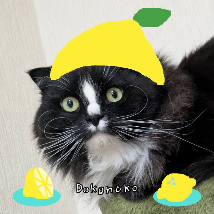 Da475d24 6ce1 4040 84ff 3a348574cca5 1741177370972