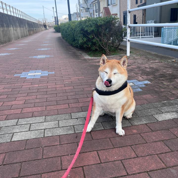 Da479d02 e90b 4ed4 b499 35d10a22d2f3 1707971506928