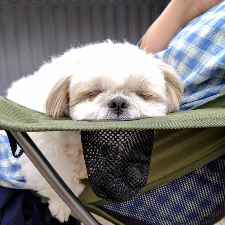 Da47aa52 5d91 4015 9e14 e7885317be51 1714862340277