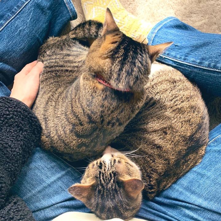 Da47bd1a ad42 4e43 9595 9c096b177994 1576923304832