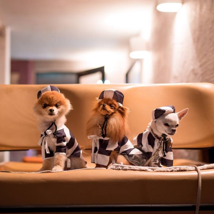 Da47d0fa ae14 458e 95df 2a4e6b92c4cc 1508677067699