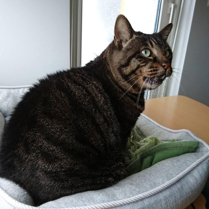 Da47d2a8 b85c 4042 ad1b af9d95f6f278 1544157086222