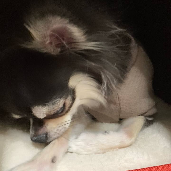 Da47da39 c64c 44ad a881 b7ef37dbe6c5 1638107533483