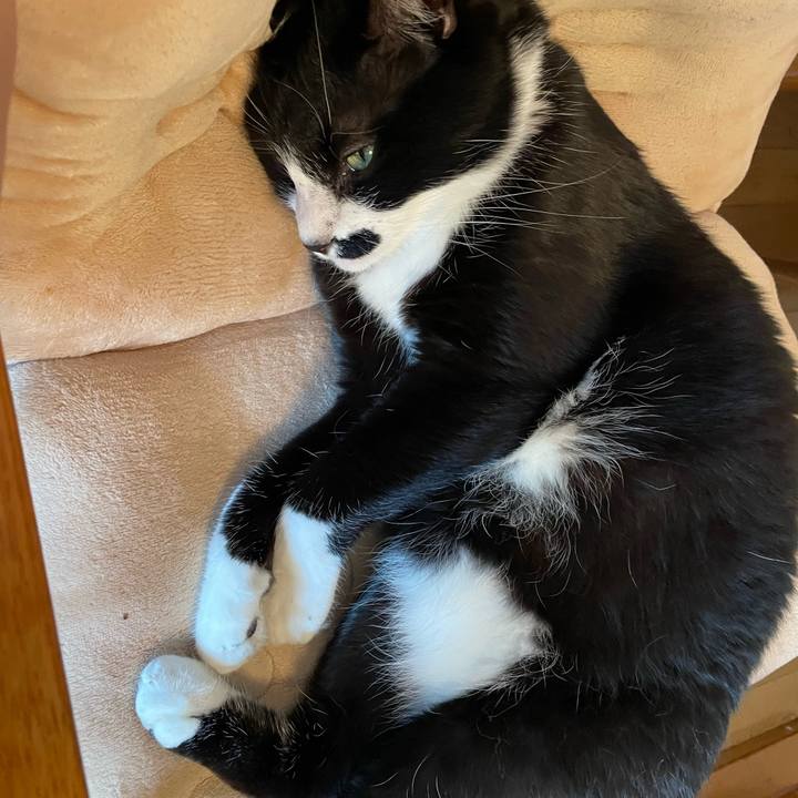 Da47e2f4 55b6 427b 8398 5478200552f5 1747265843614