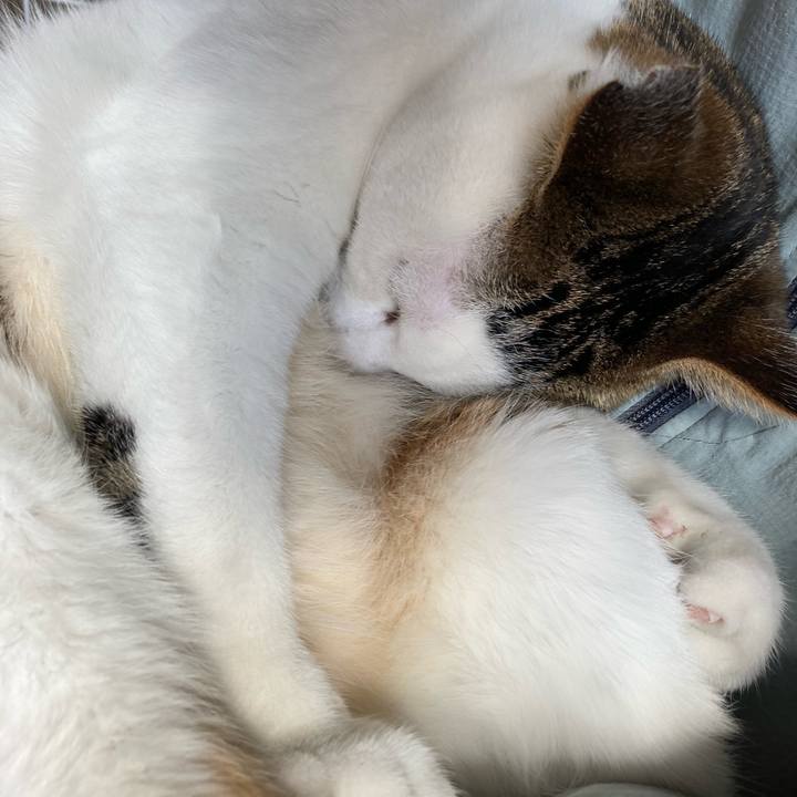 Da47fbed e7d1 45e9 8570 e90947eda17b 1702457421911