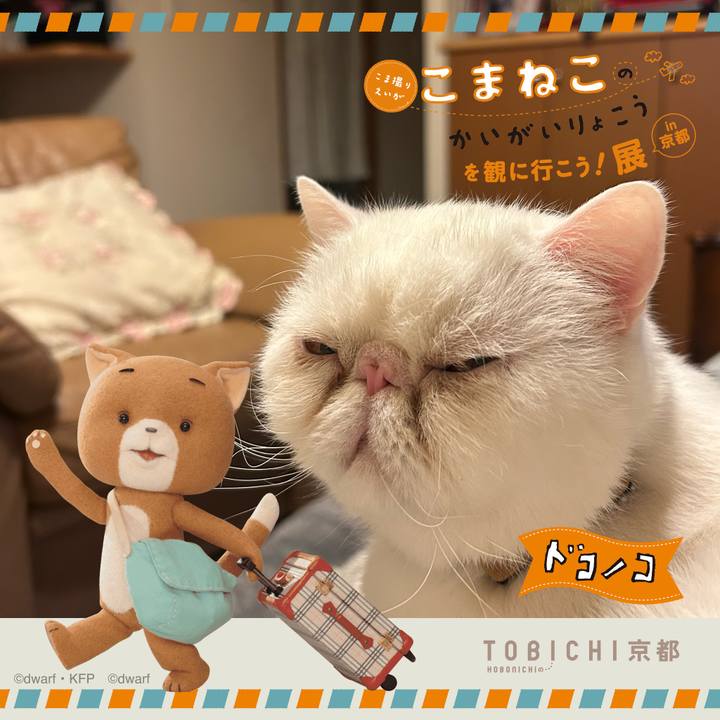 Da48045f 3ab6 4782 9f43 3bcaf74fa509 1740229774075