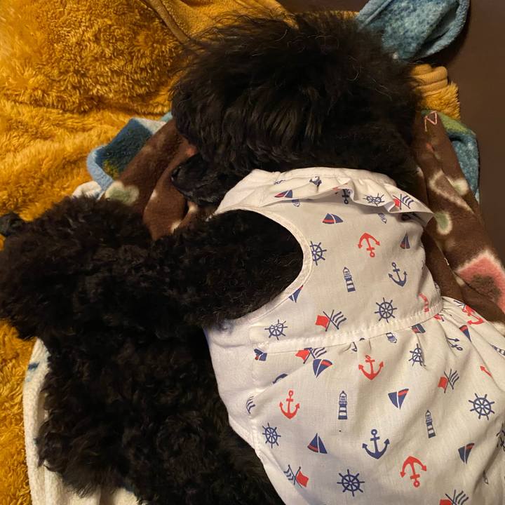 Da484798 114d 440b ac37 87660edfee03 1617288068069