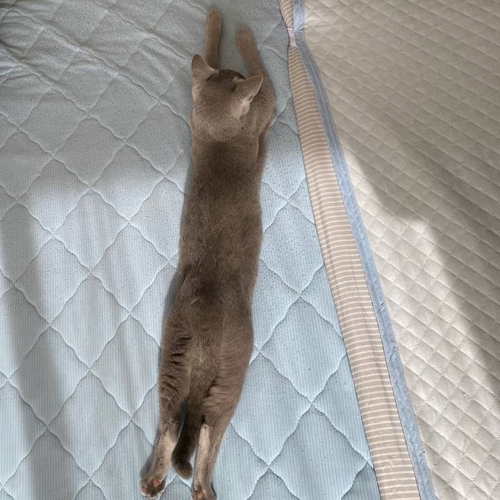 Da488485 9afd 4621 8dd3 097bd200799c 1636508596345