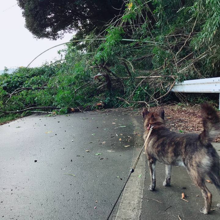 Da489c28 e0d4 4de3 84b1 40aacdca4508 1566605233825