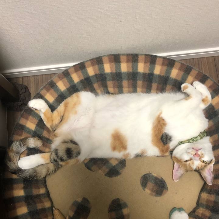 Da48aa24 b34f 41c4 a2e4 fc9dec07c4b0 1599055218294