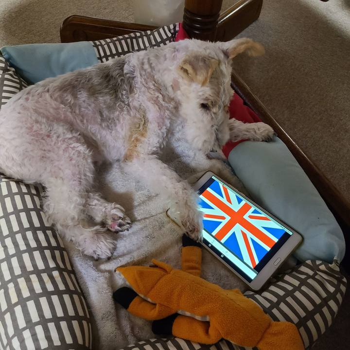 Da48bad9 9dd5 4c56 b879 785394122615 1663681356594