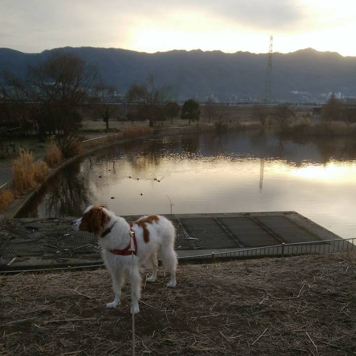 Da48d670 161e 4210 9a0d 8ebf39f10895 1548644387964