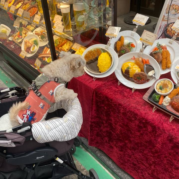 Da48eb42 c197 417c 897a 5b9f6ee931e5 1761984077832