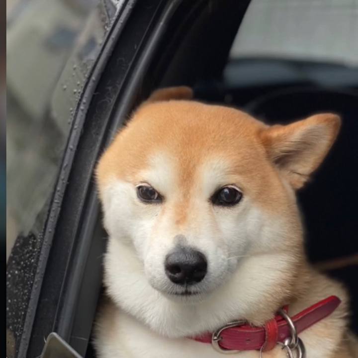 Da49098b 56e8 48b2 92eb 6c26fe81beac 1652105914916