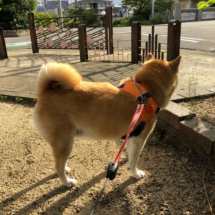 Da492578 7dec 4f3b b6f4 0ab8e6b03d85 1594859159731