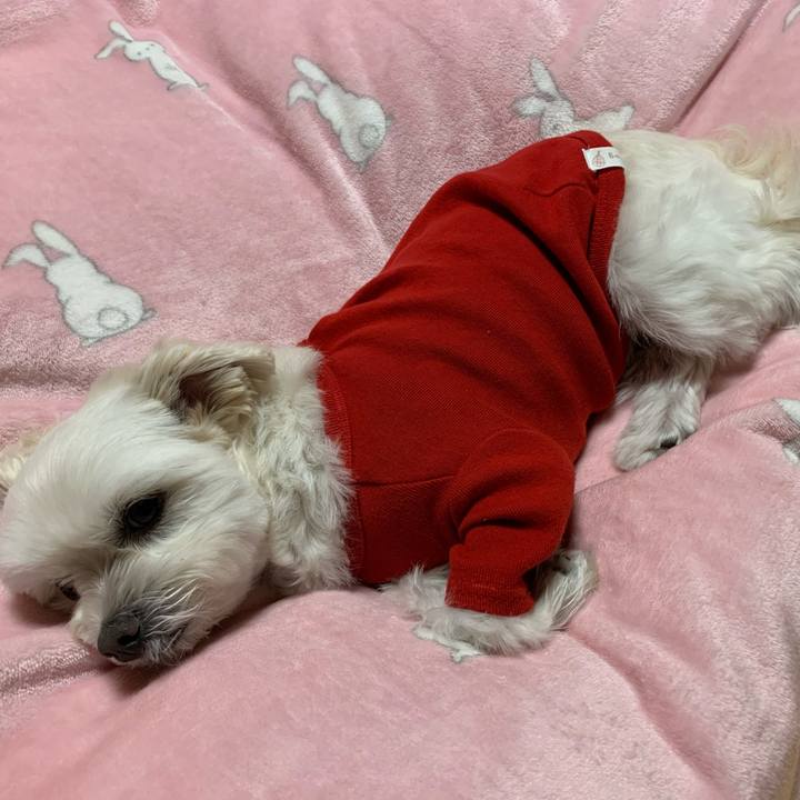 Da494238 583e 44a0 b948 ad365a1098de 1607510365571