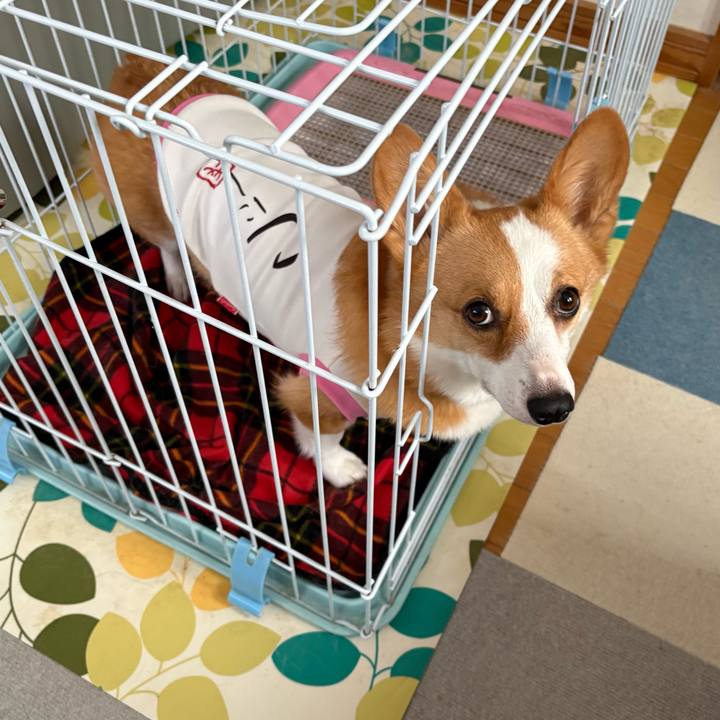 Da496ae5 6e77 4ea2 885f ca306b065826 1772408521888