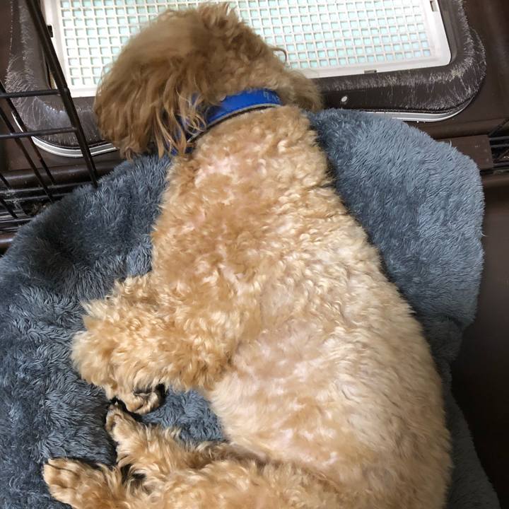 Da496ca9 8e93 45bc 9971 5dc5d5fc40fa 1637701557246