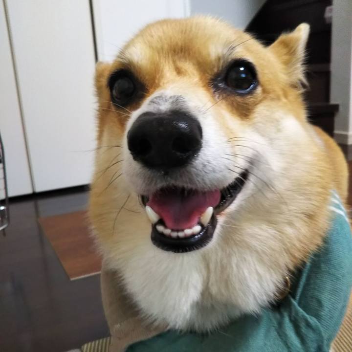 Da499fc4 0a7b 49bd adb7 9e34451f18d4 1601181583882