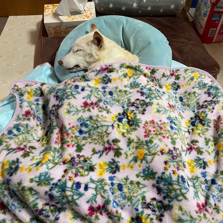 Da49b5fa 45ec 41c2 9eed 34f503279ace 1670322047405