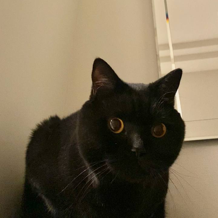 Da49dfc9 b4c5 4286 9a49 27a562b4dab7 1668515463069