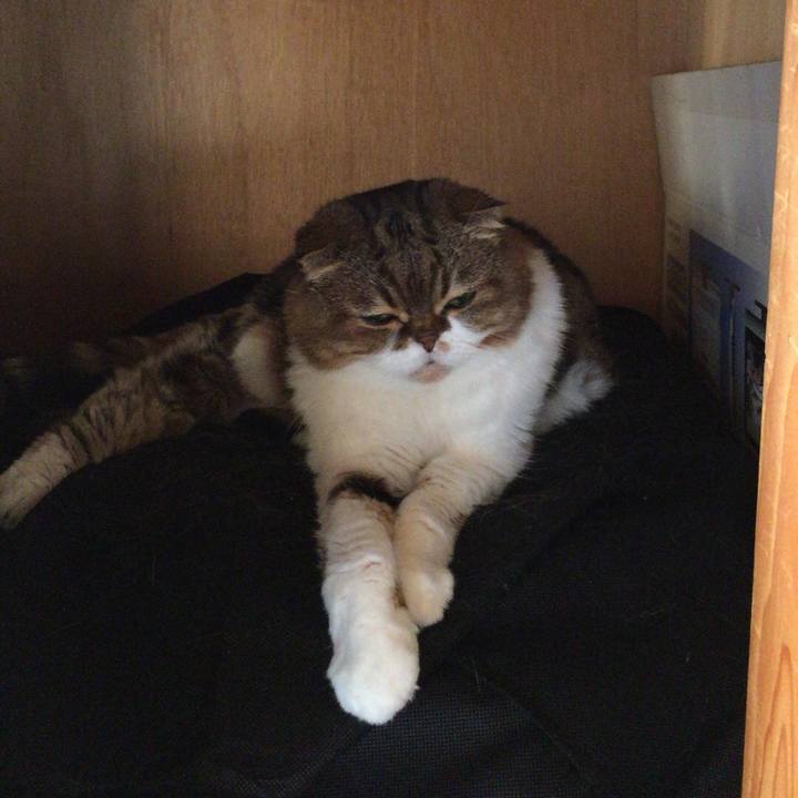 Da4a1945 f144 4d6e bcda 61b8485fdd0a 1509572717996