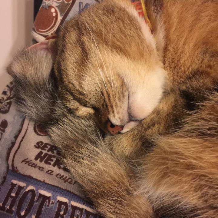 Da4a47b8 b74b 485a 9c66 f4b1cea2b317 1557070185752