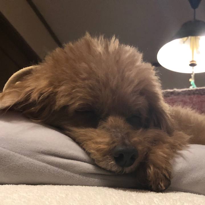 Da4a85c4 2ff5 4b28 8468 382c0b3e99f6 1584537056398