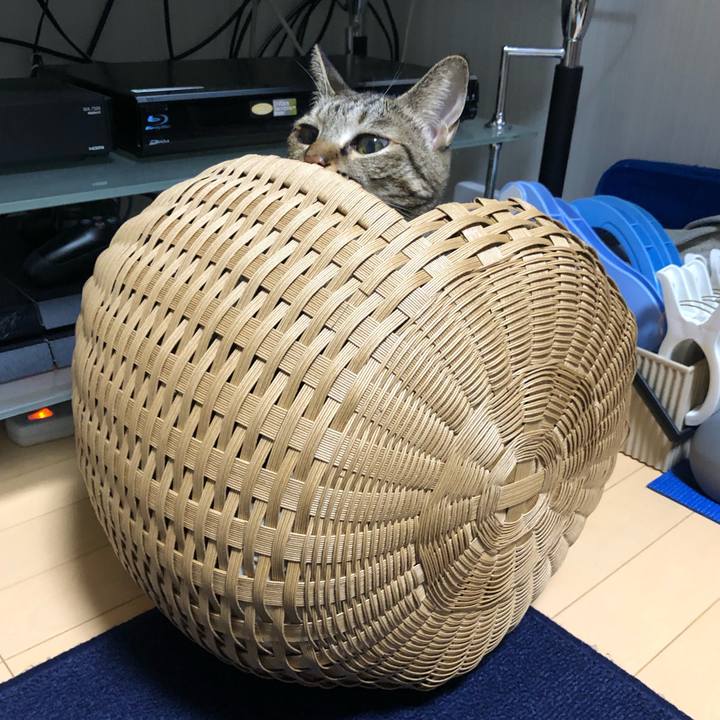 Da4a9486 4544 4978 b150 7592676d2304 1635542104282