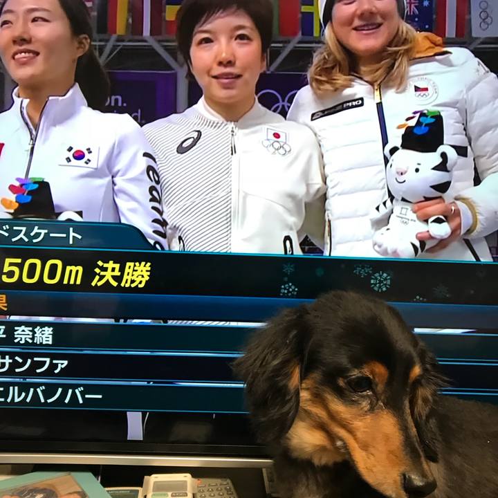 Da4adaf3 d93f 42a6 82c5 4b186c9361f2 1518958596505