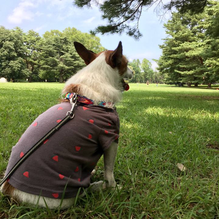 Da4adb26 f06a 46ae 92ff bf82502bed51 1630279658380