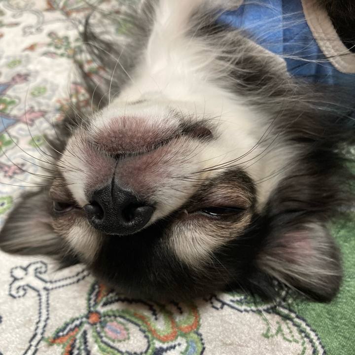 Da4af10d cfe6 4e09 a16d caab250aa6f8 1668351094820